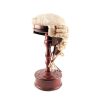 Barrister Wig & Stand